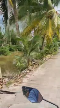 Đất nền liền kề 50m² tại ấp Quý Phước, Cai Lậy - Giá chỉ 450 triệu!