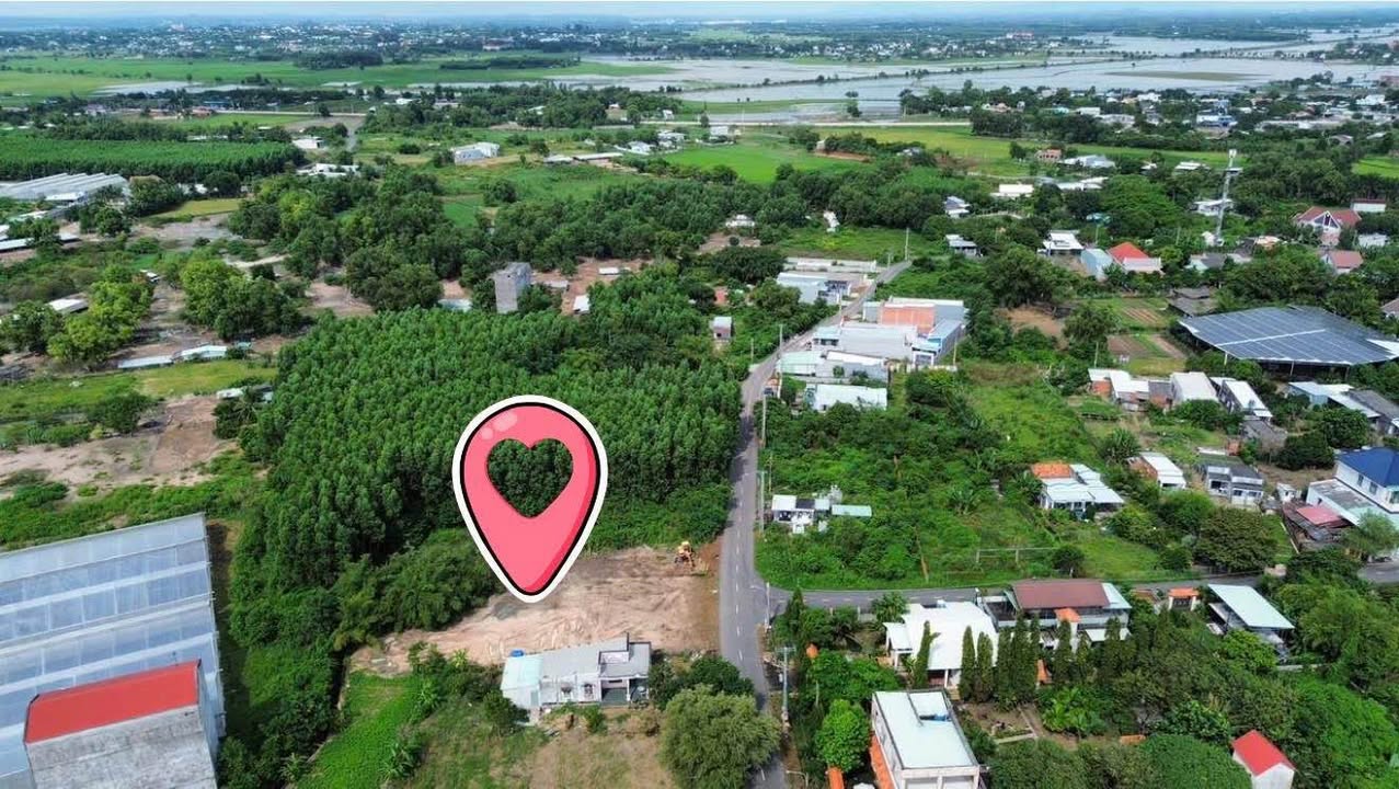 Đất Long Mỹ - Xã Phước Hải 1160m² giá 2.7 tỷ - Đầu tư sinh lời cao!