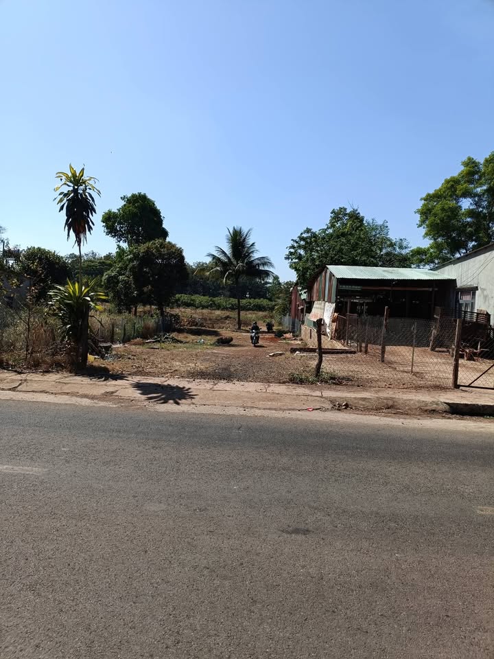 Đất thổ cư 3673m² tại Ấp 3, xã Thanh Hoà, Lộc Ninh giá 1.6 tỷ - Tiềm năng đầu tư lớn!