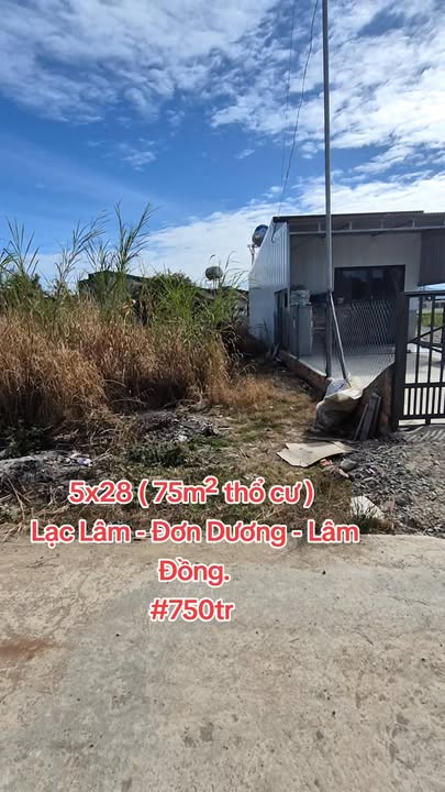 Đất nền Lạc Lâm - Đơn Dương 75m² giá 750 triệu - Pháp lý đầy đủ, sẵn sàng giao dịch!
