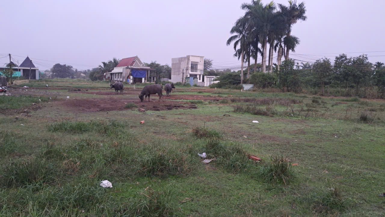 Đất thổ cư 120m² xã Đức Hòa Đông giá 1 tỷ - Sổ hồng chính chủ