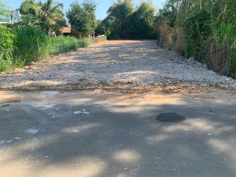 Đất thổ cư mặt tiền Lê Thánh Tông, Đất Đỏ, 481.5m² chỉ 3 tỷ - Cơ hội đầu tư sinh lời!