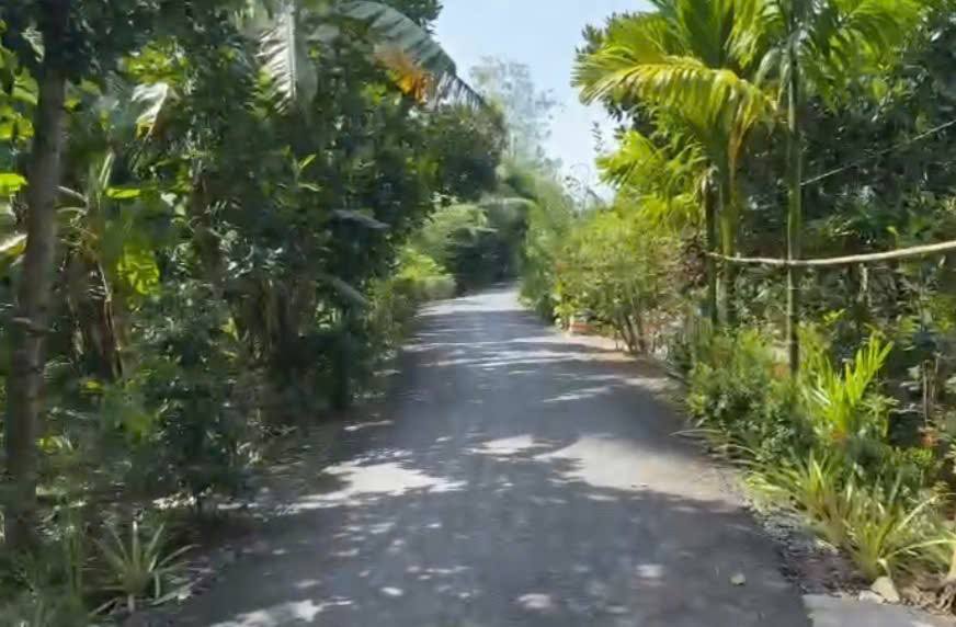 Đất nền Cẩm Sơn, Cai Lậy 170m² giá chỉ 310 triệu - Cơ hội đầu tư không thể bỏ qua!