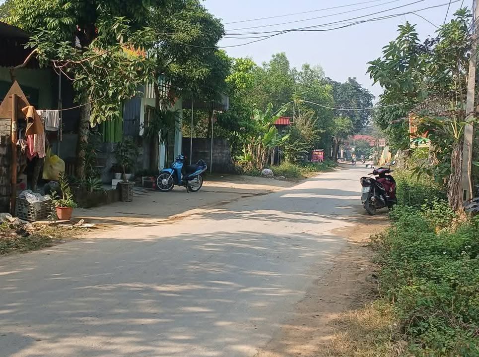 Đất thổ cư xã Thọ Ngọc 308m² giá 8xx triệu - Tiềm năng kinh doanh lớn!