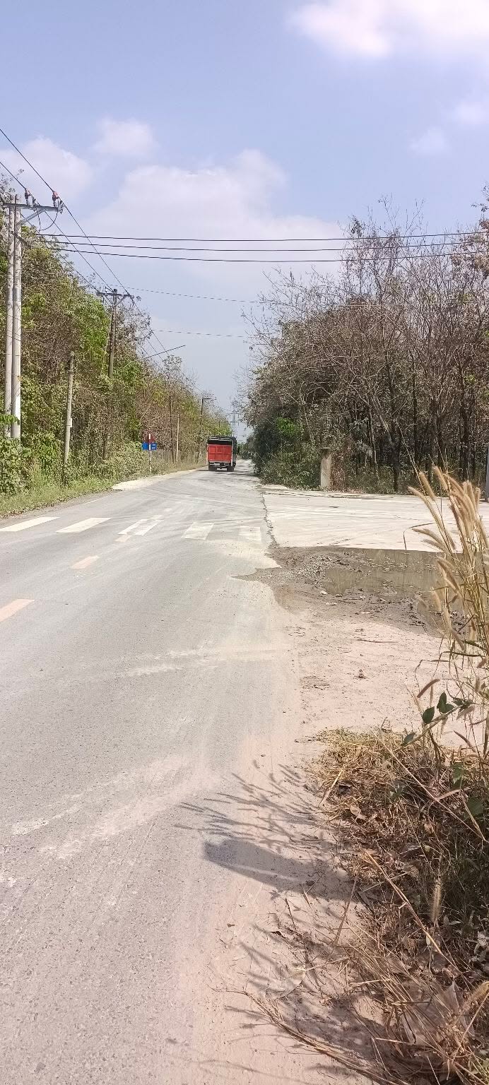 Đất nền Bàu Bàng Bình Dương 16.000m² - Đường nhựa, gần khu công nghiệp!