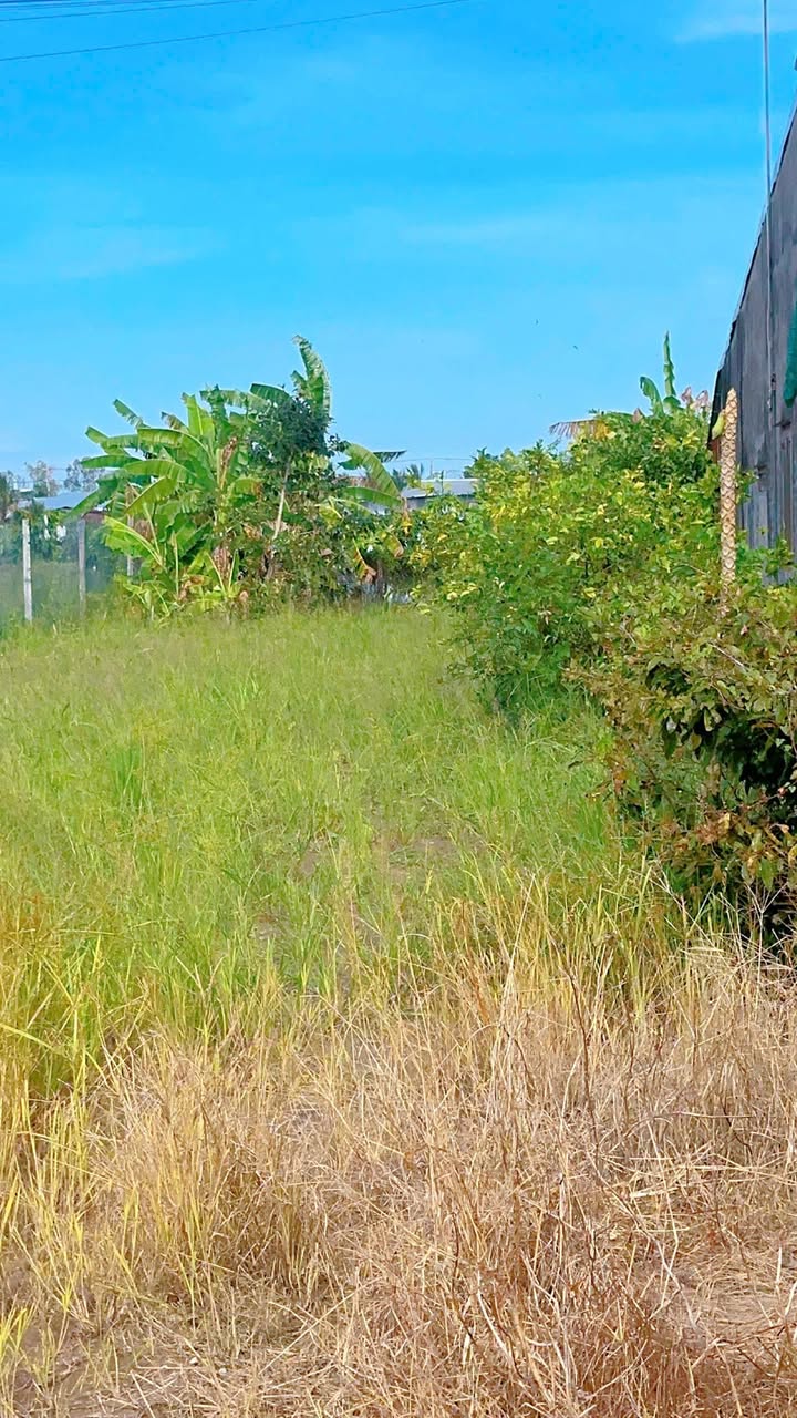 Bán đất nền 535m² tại Huyện Tân Hiệp, Kiên Giang - Giá chỉ 900 triệu!