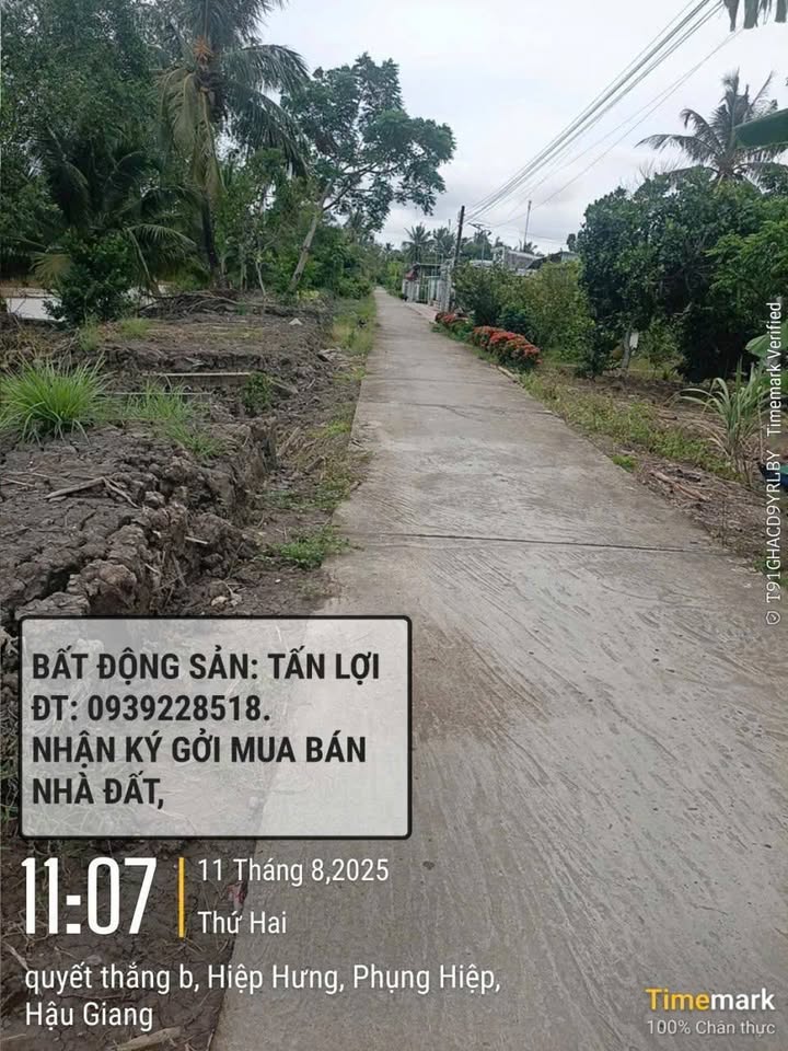 Đất Farm Hiệp Hưng 34.500m² giá 4.657 tỷ - Thích hợp trồng cây ăn trái!