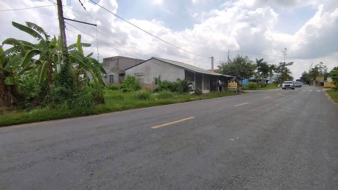 Đất thổ cư 100m² tại Đa Phước Hội 874m² giá 1.55 tỷ - Cơ hội đầu tư tuyệt vời!