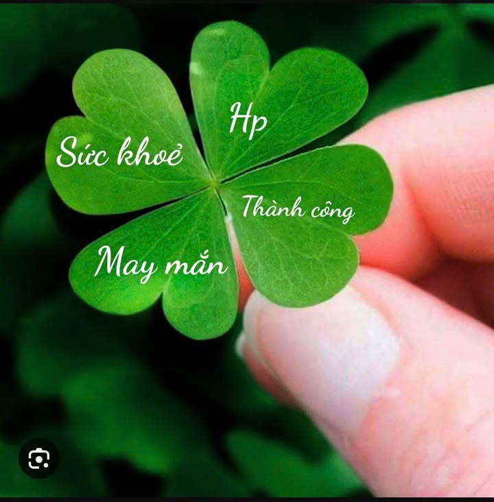 Đất nền D11 Phú Xuân, Thái Bình 71.4m² giá 260 tỷ - Đầu tư sinh lời ngay!