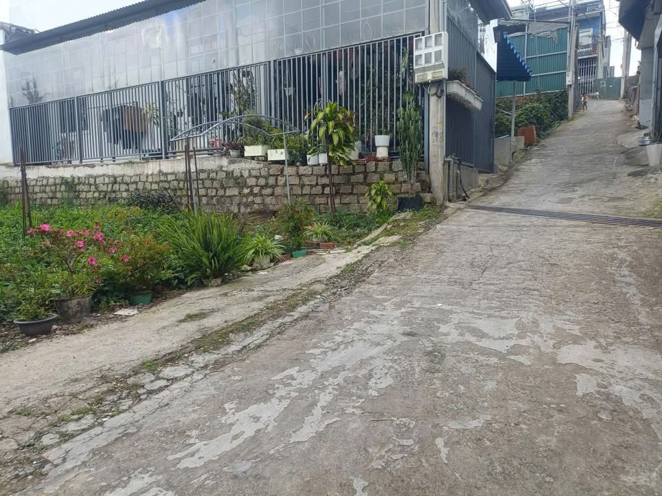 Đất nền nông nghiệp Đà Lạt 100m² giá 2.5 tỷ - Sổ riêng chính chủ, đầu tư tiềm năng!