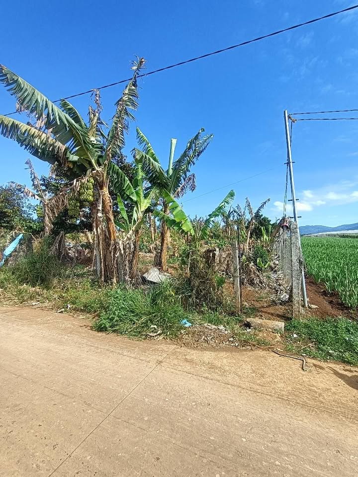 Đất thổ cư xã Liên Hiệp, Đức Trọng 3700m² - Cơ hội đầu tư tuyệt vời!