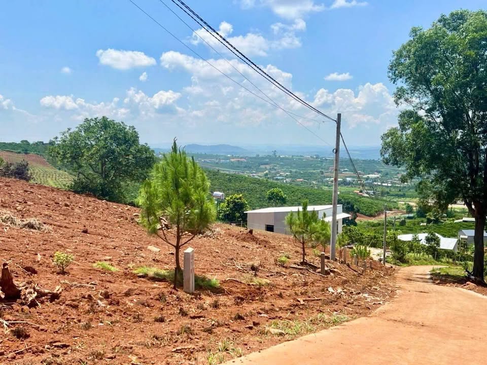 Đất Đan Phượng Lâm Hà 500m² giá 480 triệu - Sổ đỏ chính chủ, đầu tư sinh lời!