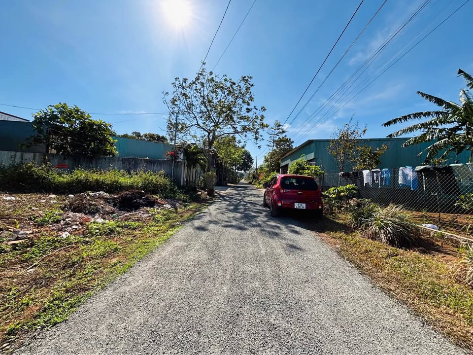 Bán đất hẻm Tô Hiệu, Phường Tây Sơn, 246m² - Khu dân cư yên tĩnh, xây dựng ngay!