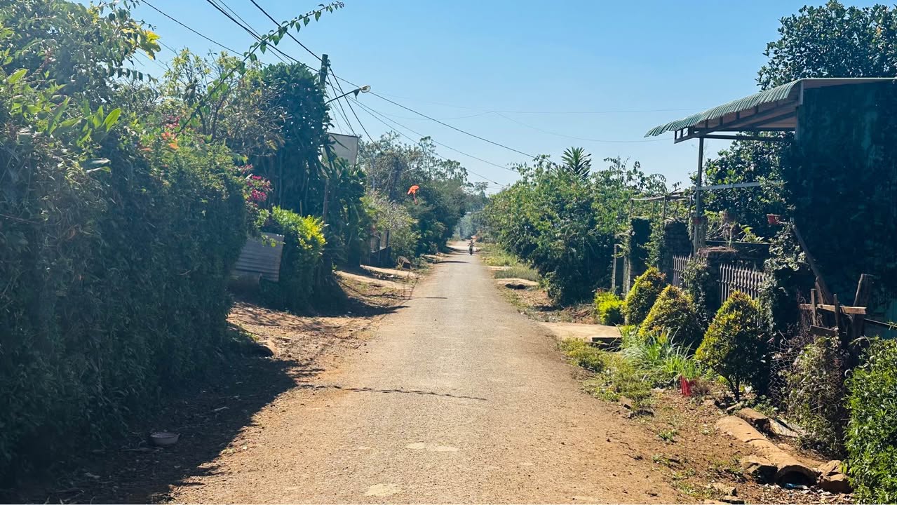 Đất mặt tiền Dã Tượng, An Phú, 125m² giá 700 triệu - Sổ đỏ chính chủ, đầu tư sinh lời!