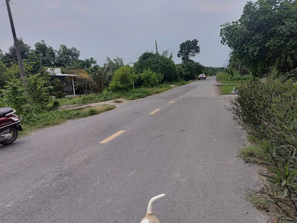 Đất nền mặt tiền Bến Đình, An Nhơn Tây, Củ Chi 2164m² - Pháp lý rõ ràng, giá chỉ 6.5 tỷ!