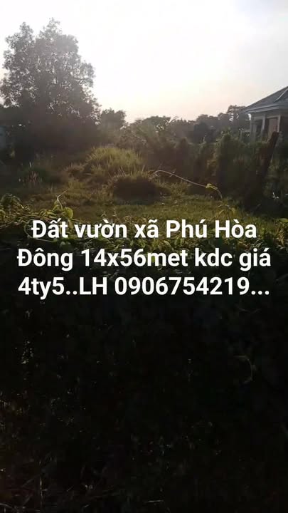 Đất vườn 800m² tại xã Phú Hòa Đông, Củ Chi giá chỉ 4.5 tỷ - Đầu tư sinh lời ngay!