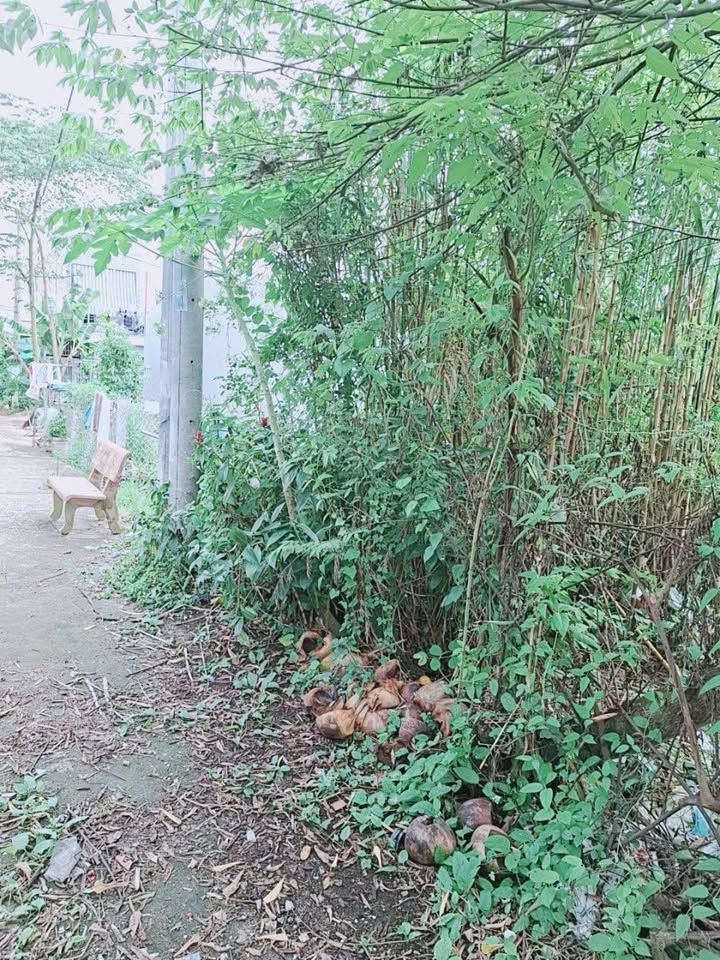 Đất nền 150 Nguyễn Thông, Phường An Thới, 64.5m² giá 1.25 tỷ - Sổ hồng 100% thổ cư!