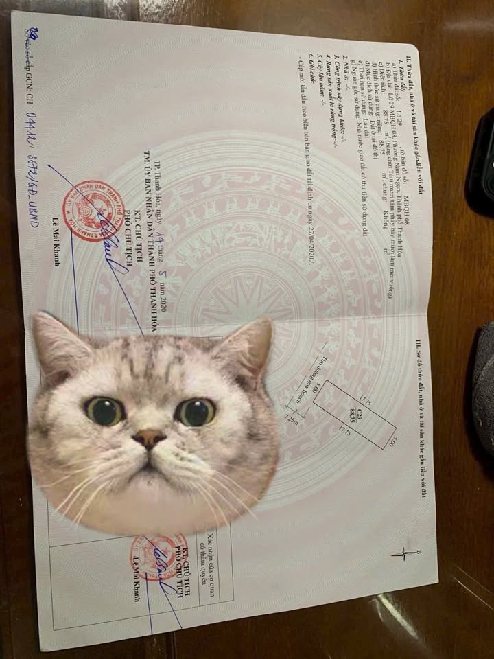 Đất nền sổ đỏ Nam Ngạn 88,7m² giá 3,x tỷ - Tiềm năng đầu tư vượt trội!