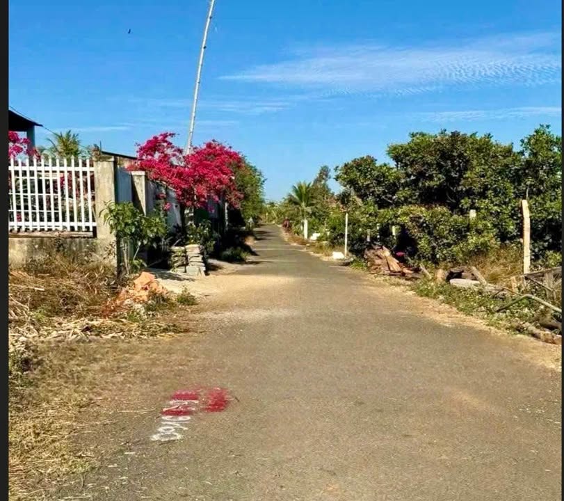Lô đất mặt tiền đường nhựa Thôn 8 Cư Ê Bur 480m² giá 2 tỷ - Đầu tư sinh lời ngay!
