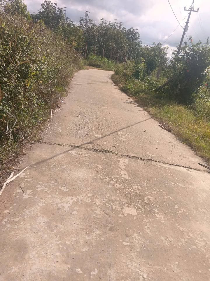 Đất dự án tại xã Ea Ô, huyện Ea Kar 1,2 hecta giá 1,7 tỷ - Cơ hội đầu tư hấp dẫn!