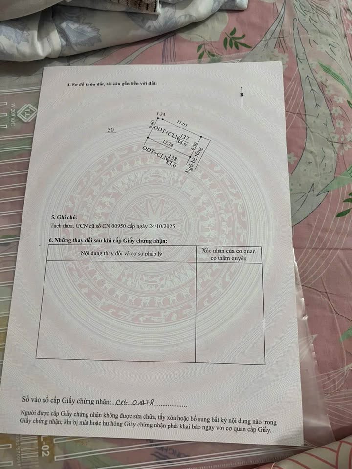 Đất thổ cư thôn Đìa, Cẩm Điền, Hải Dương 80m² - Giá chỉ chưa đến 1 tỷ!