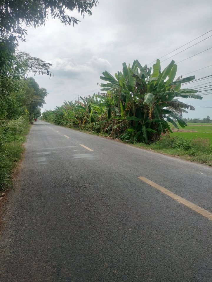 Đất nền Cà Mau 41.205m² giá 3.24 tỷ - Mặt tiền lộ lớn, sông thuận lợi!