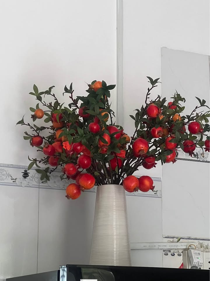 Đất thổ cư Hẻm 20 Điện Biên Phủ, Tây Ninh 177m² - Cơ hội đầu tư tuyệt vời!