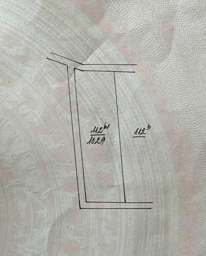 Đất thổ cư Tản Lĩnh, Ba Vì 1029m² giá 4.1 tỷ - Lô góc tiềm năng đầu tư!