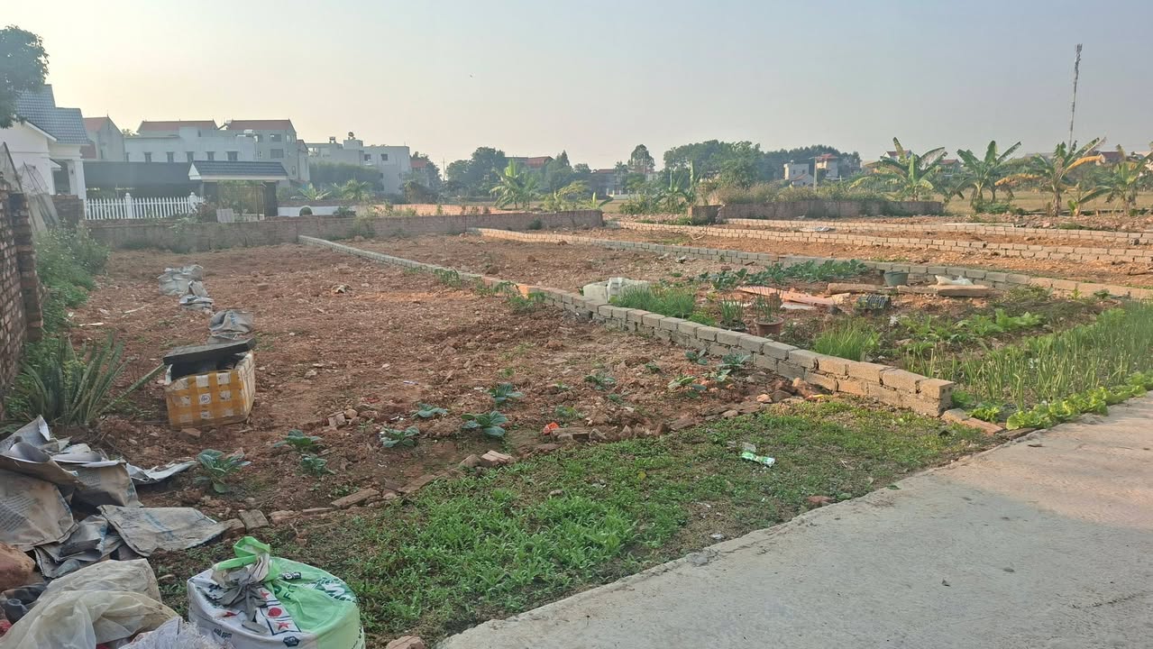 Đất nền TDP Quyết Chiến, Phường Tân An 101m² giá chỉ từ 800 triệu - Cơ hội đầu tư hiếm có!