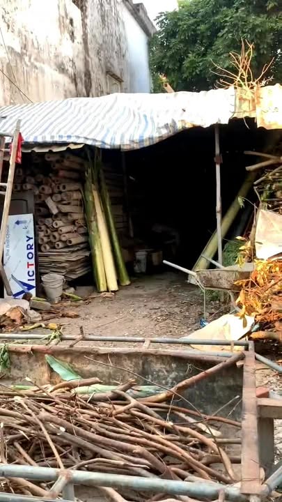 Đất nền phường Vũ Phúc Thái Bình 75.4m² giá chỉ 1.885 tỷ - Hướng Nam Tài Lộc!