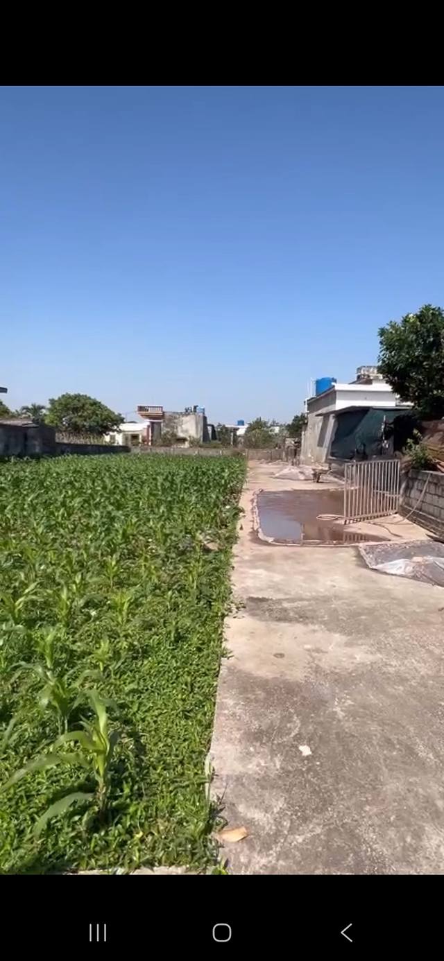 Đất thổ cư Nam Hồng, Tiền Hải 100m² giá 300 triệu - Cơ hội đầu tư hấp dẫn!