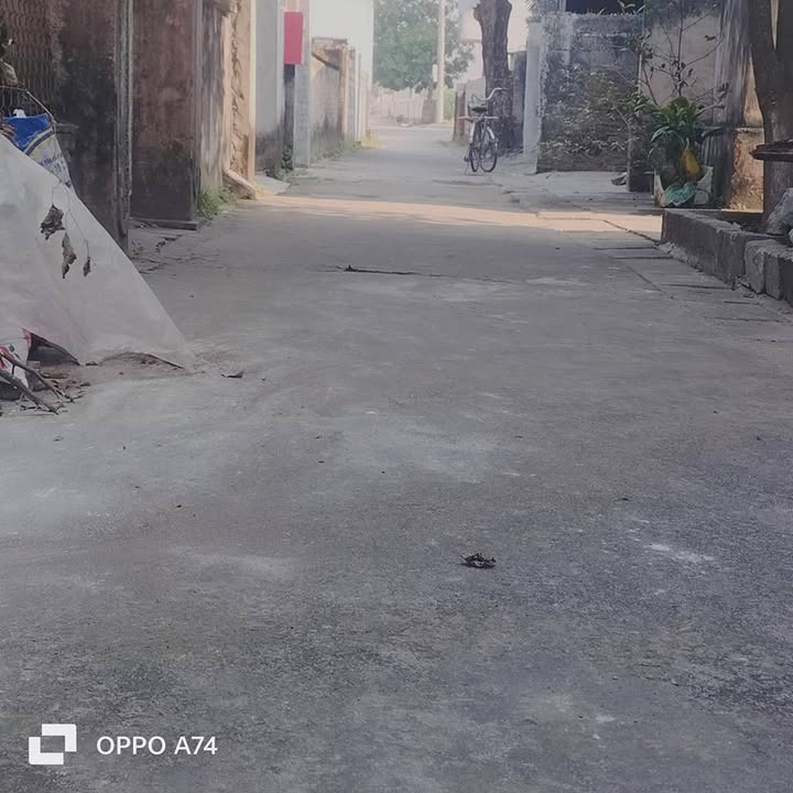 Lô đất Tân Quán, Tân Bình 95m² giá 1.2 tỷ - Đường ô tô vào tận nơi!