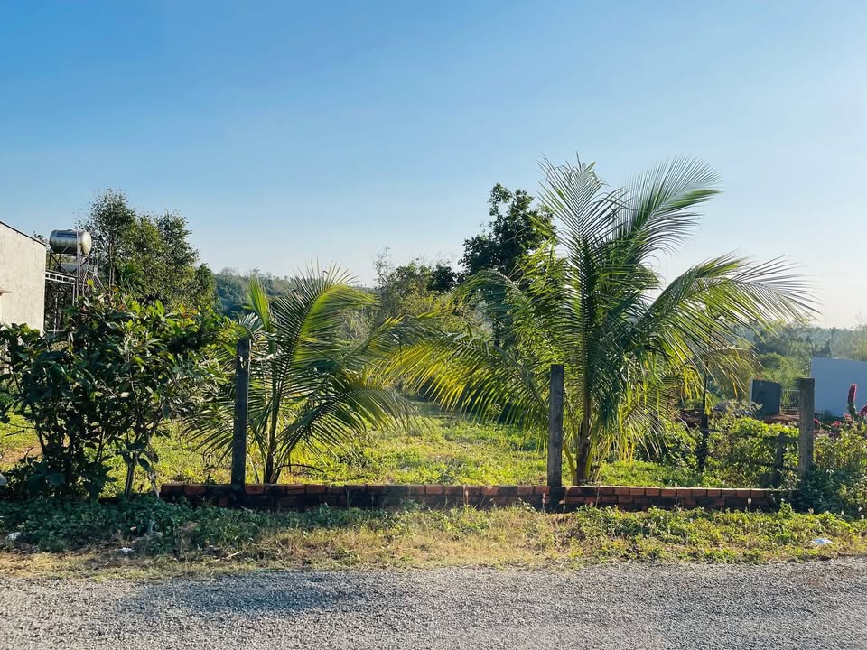 Đất nền Quảng Phú 1385.5m² giá 3.2 tỷ - View suối tuyệt đẹp cho nhà vườn nghỉ dưỡng!