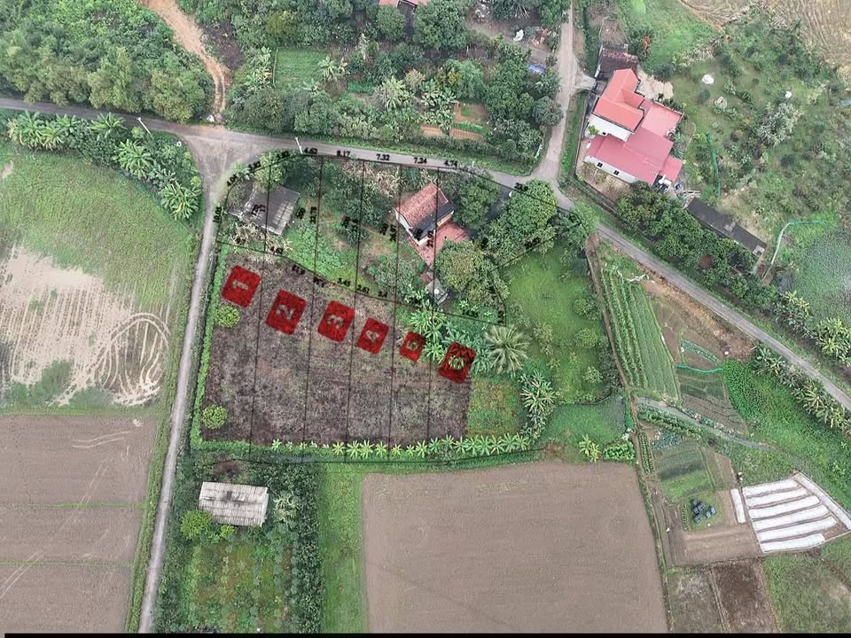 Đất nền xã Hương Lung, huyện Cẩm Khê 400m² giá 1 tỷ - Cơ hội đầu tư tuyệt vời!