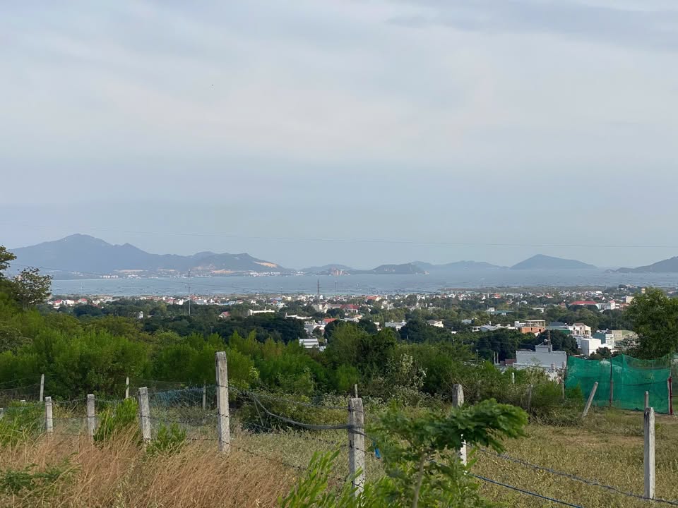 Đất Cam Lộc Cam Ranh 260m² giá nhỉnh 1 tỷ – Đầu tư sinh lời ngay!