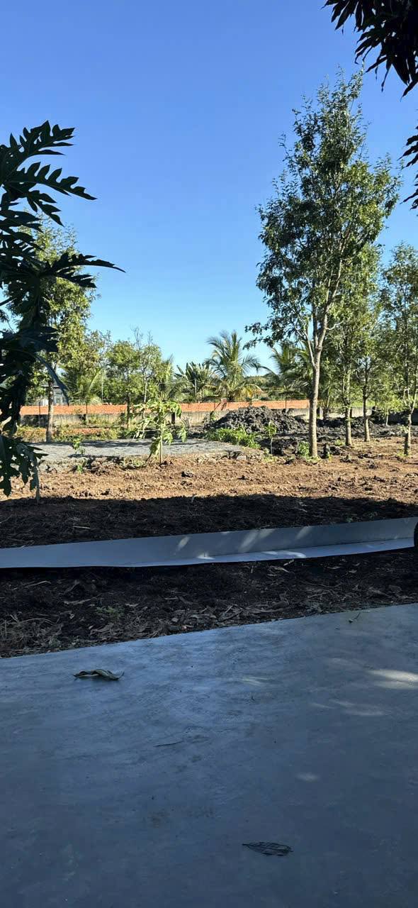 Đất góc 2 mặt tiền thôn 8 Cư ÊBur 15.500m² giá 2.6 tỷ - Tiềm năng đầu tư lớn!