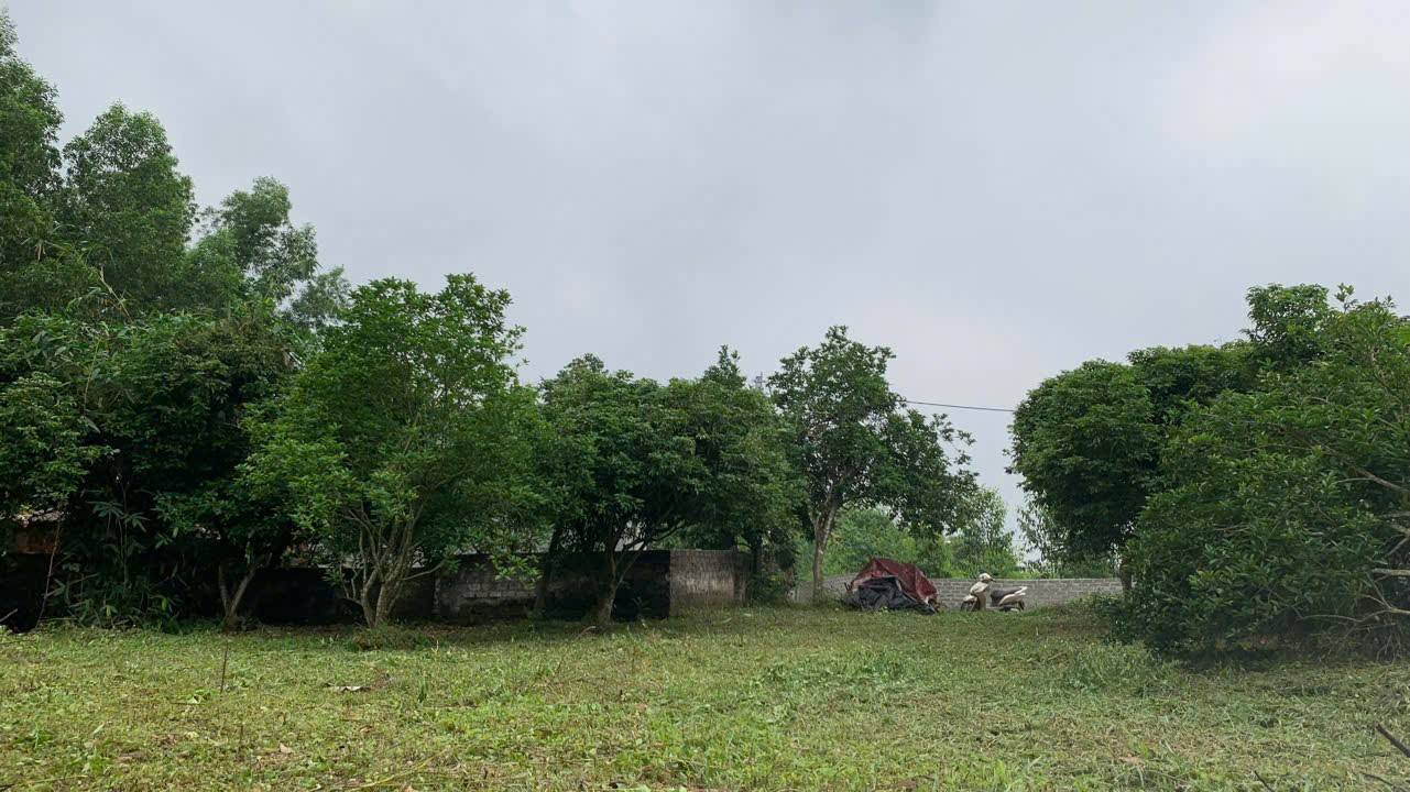 Mảnh vườn đẹp Đồng Kì - Bắc Ninh 1600m² giá 1.2 tỷ - Đầu tư sinh lời ngay!