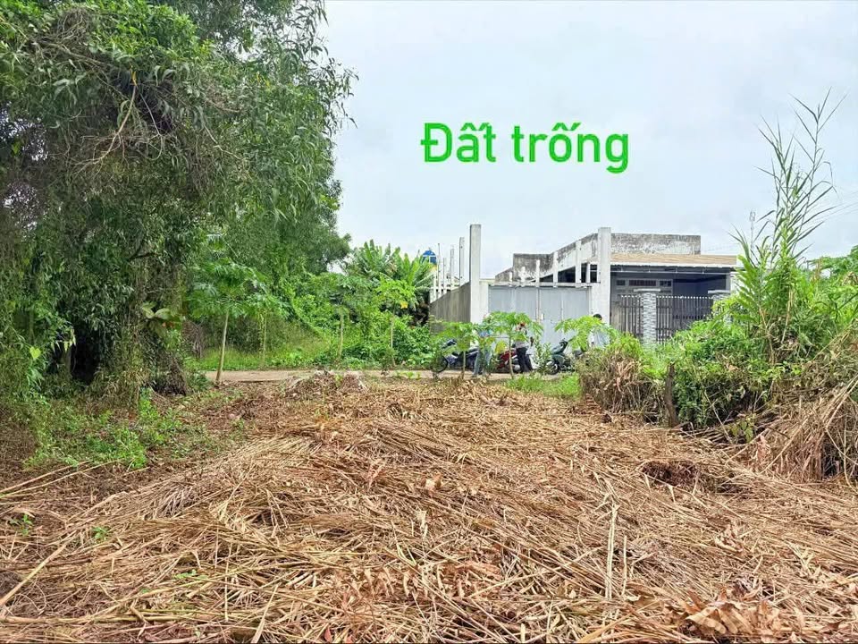 Đất nền Phú Khương Bến Tre 120m² giá 530 triệu - Ô tô tới nơi, thuận tiện đầu tư!