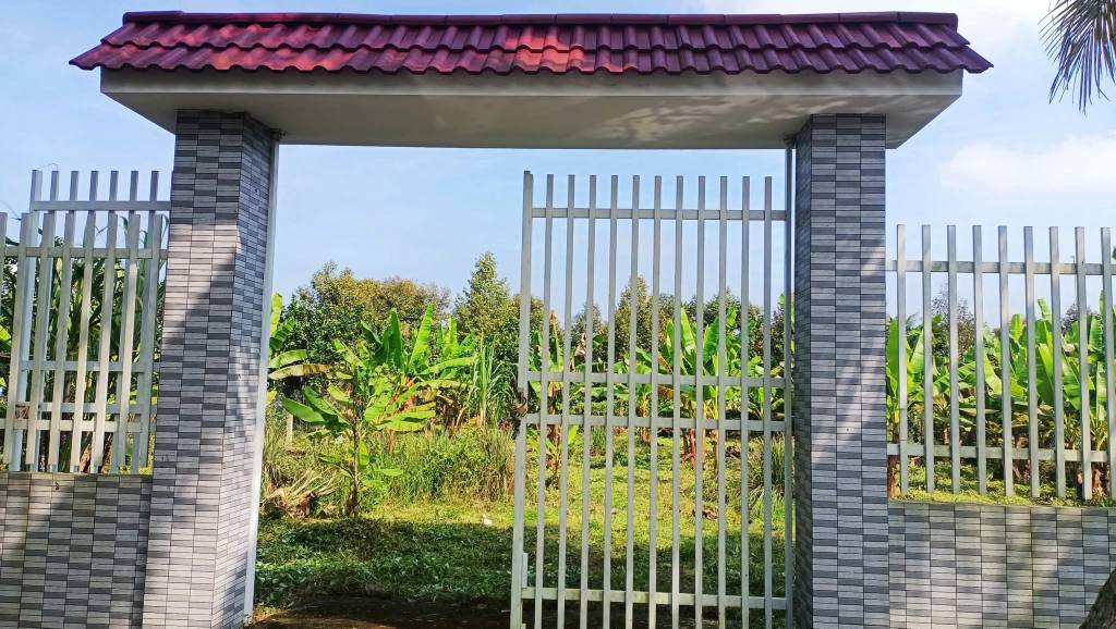 Đất thổ cư 500m² tại Quới Thành, Châu Thành, Bến Tre giá chỉ 1.55 tỷ - Đầu tư sinh lời ngay!