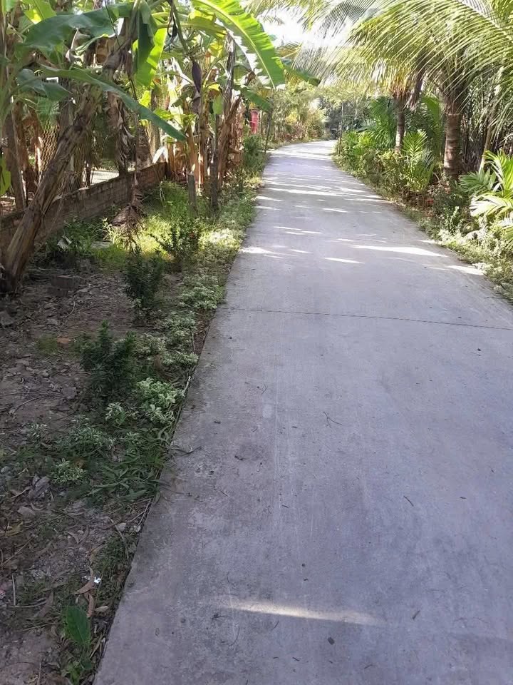 Đất nền Châu Hòa, Giồng Trôm 115m² giá 450 triệu - Cơ hội đầu tư tuyệt vời!