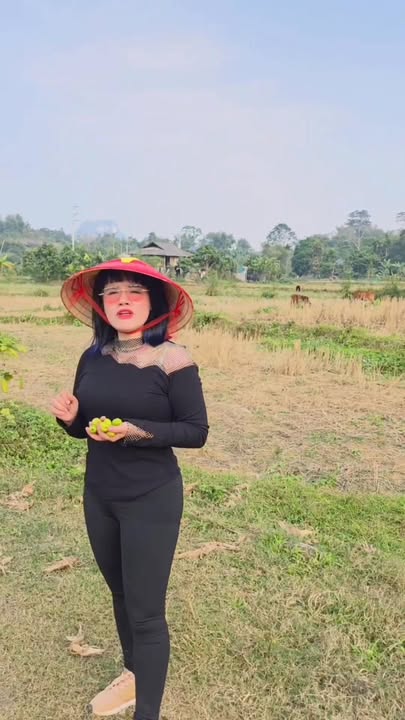 Đất nền Phú Vinh Tân Lạc 617m² giá 300 triệu - Đầu tư sinh lời ngay!