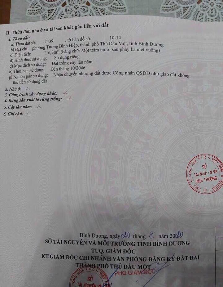 Bán đất thổ cư Tân Chánh Hiệp, Quận 12, 116m² - Gần bệnh viện và trường học!