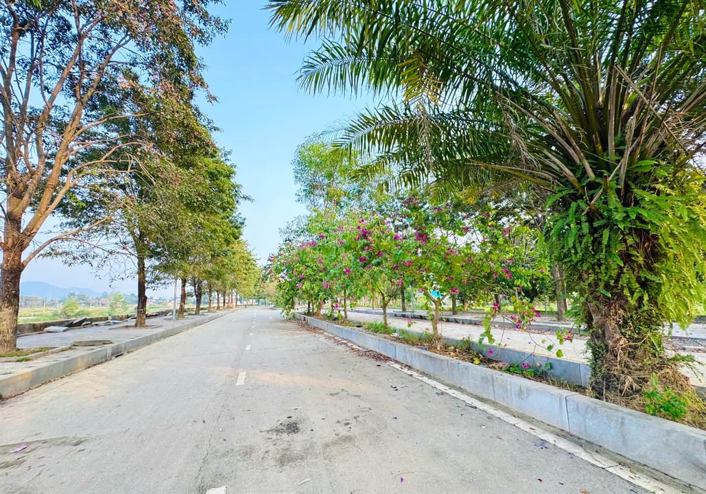 Lô đất biệt thự KDC Kiểu Mẫu Túc Duyên 333m² giá 9 tỷ - Hướng đẹp, đầu tư sinh lời!