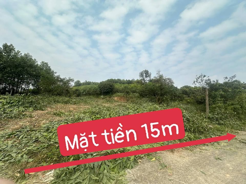 Lô đất thổ cư 545m² Thị trấn Hóa Thượng giá 2,7 tỷ - Cơ hội đầu tư tuyệt vời!