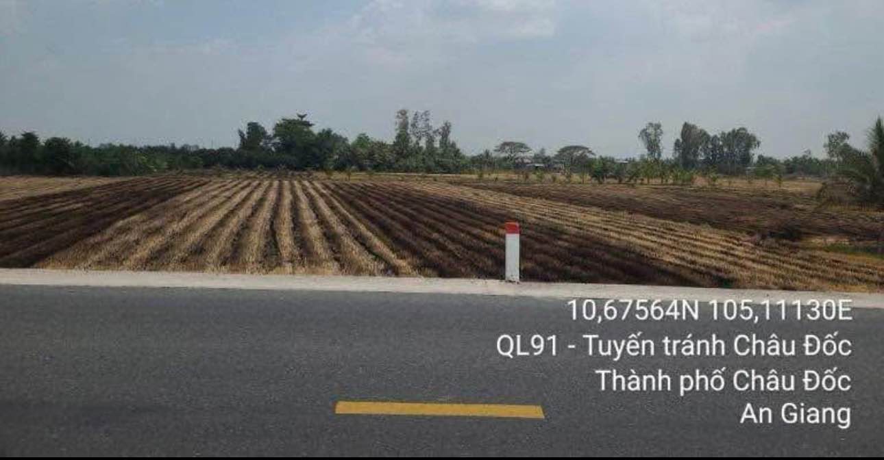 Đất lúa mặt tiền đường N1, Châu Phú B, Châu Đốc 1145m² - Giá tốt cho đầu tư!