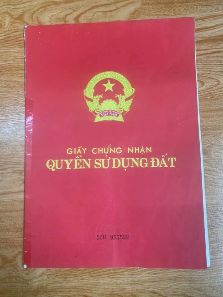Đất nền Bạch Đằng, Quảng Hưng, 80m² - Tiềm năng kinh doanh tuyệt vời!