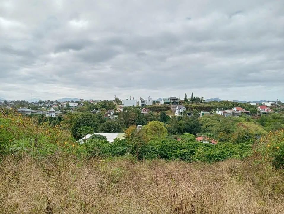 Đất nền Phường 2 Bảo Lộc 250m² giá chỉ 1.5 tỷ - View thoáng đẹp, vào trung tâm thuận tiện!