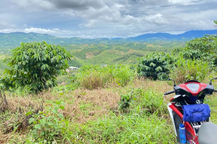 Đất nền Đại Lào Bảo Lộc 15000m² giá chỉ 320 triệu - View săn mây tuyệt đẹp!