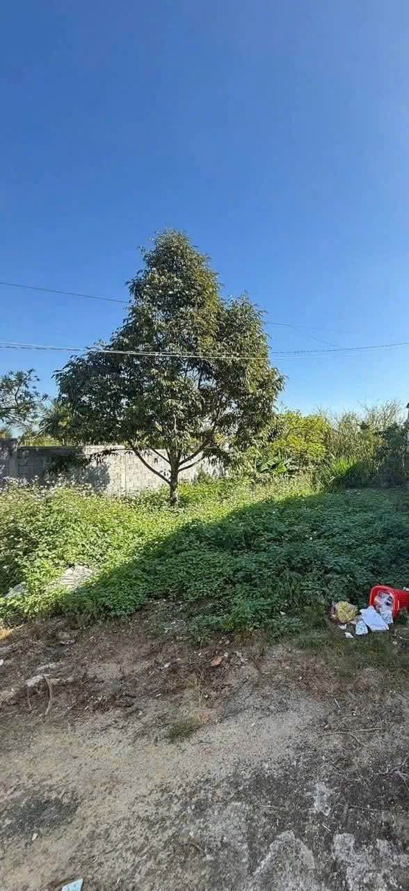 Đất nền Bảo Lộc 80m² giá 1.9 tỷ - Vị trí trung tâm thuận lợi