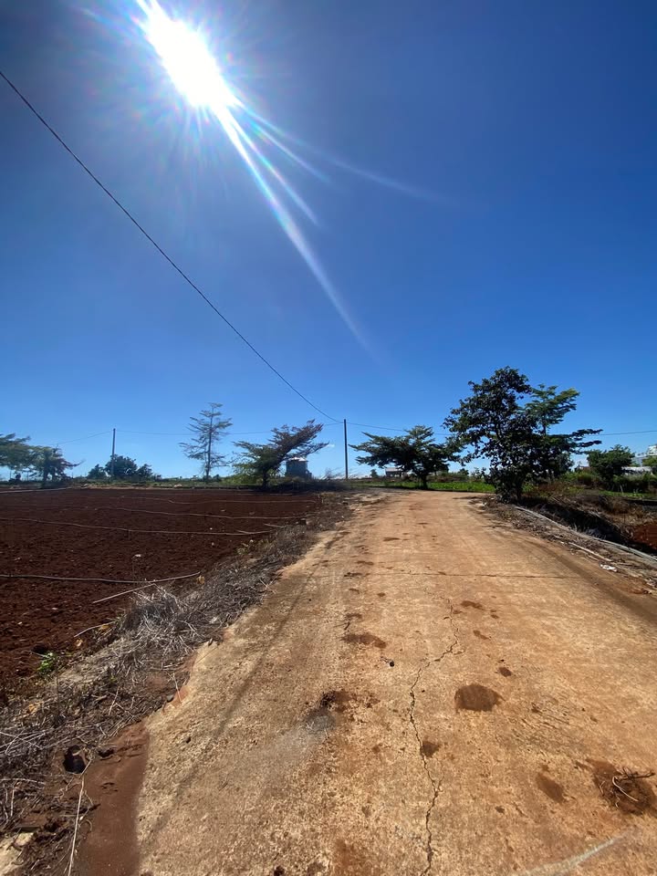 Đất nền Liên Nghĩa, Đức Trọng 102m² chỉ 880 triệu - Cơ hội đầu tư hấp dẫn!